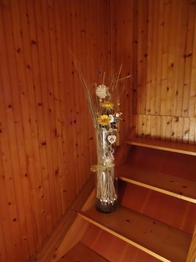 Apartment Tjasa رادوفيتْسا المظهر الخارجي الصورة
